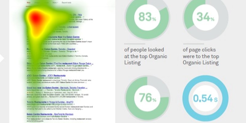 Serp Google